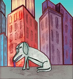dog in the city with colored buildings in the background