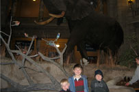 image of James, Will and Charlie in the Smithsonian Museum in DC