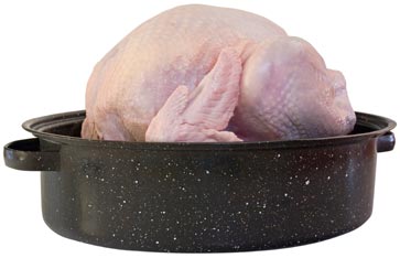 Raw Turkey in a Roasting Pan