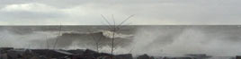 Lake waves lapping on the shore