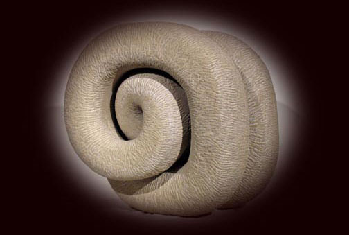 photo of abstract sandstone sculpture Echoes