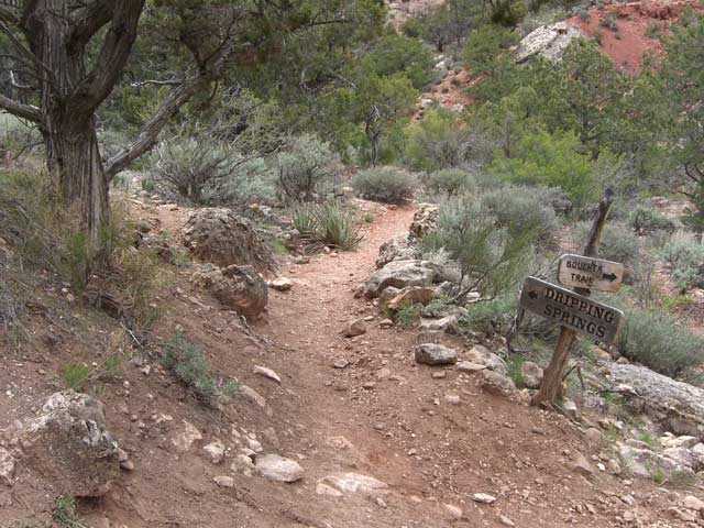 hiking trail long