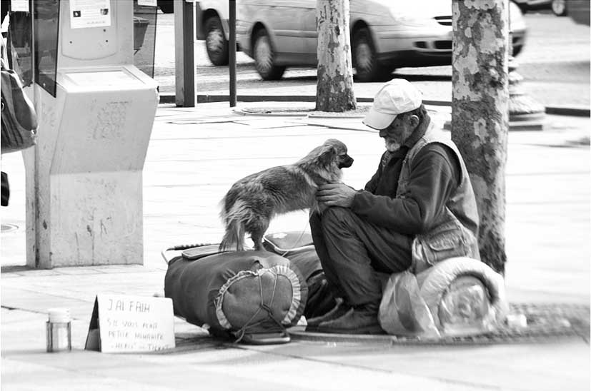 homeless man and dog