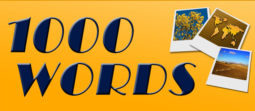 Logo for 1000 WORDS