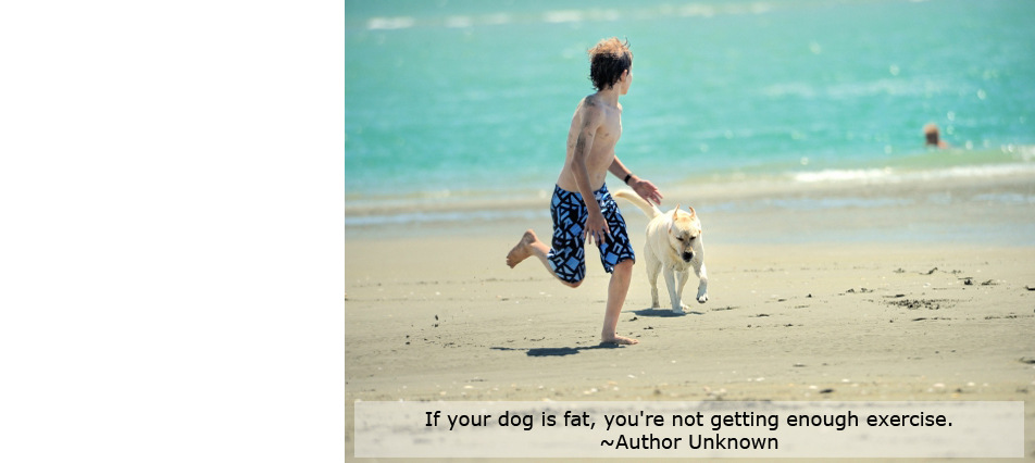If your dog is fat, you're not getting enough exercise. ˜Author Unknown
