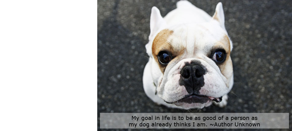 My goal in life is to be as good of a person as my dog already thinks I am. ˜Author Unknown