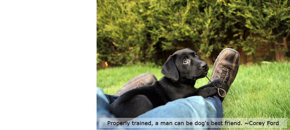 Properly trained, a man can be dog's best friend. ˜Corey Ford