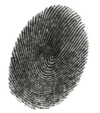 fingerprints