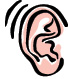 line drawing of a human ear