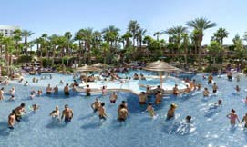 image of Hard Rock Hotel pool