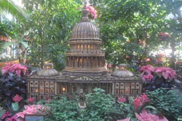 The large wood carving of The Capitol Building inside the US Botanic Garden