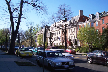 cars parked along the road in Washington D.C.