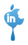 LinkedIn icon