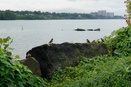 Edgewater Park