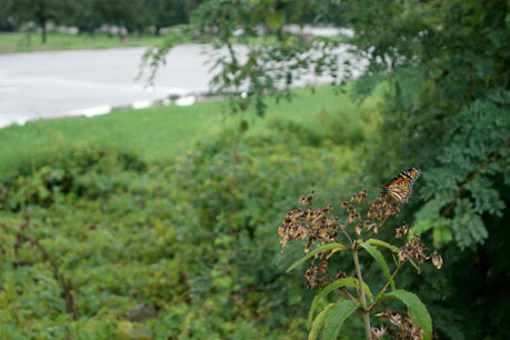 Edgewater Park