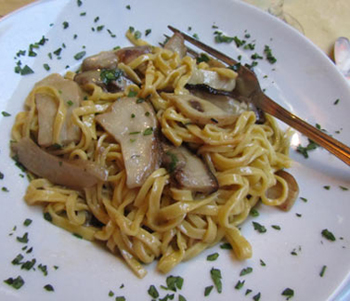 Pasta and mushrooms at a local bistro.