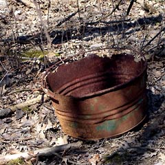 Rusted pail in the woods