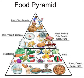 Government Food Pyramid