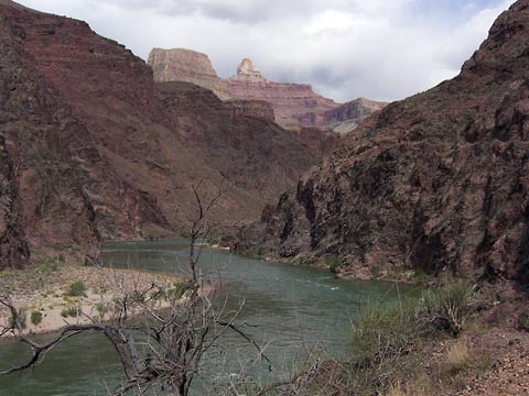 Colorado River at bottom of Grand Canyon