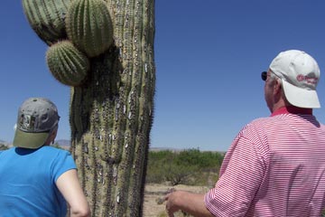 Large saguaro cactus, with Ed explaining it to Joanne