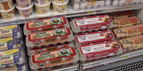 Shelf with four different kinds of organic eggs