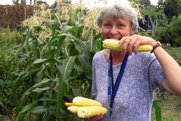 Joanne holding just-harvested ears of corn