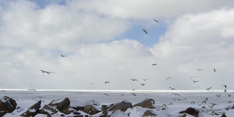 View north, snow-covered lake and blue sky