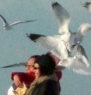 Seagulls and women