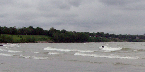 Lake Erie surfers
