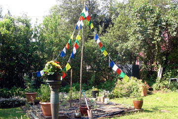 Buddhist prayer flags in back yard