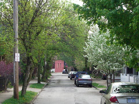 View down 31st Place, with lots of blossoming trees