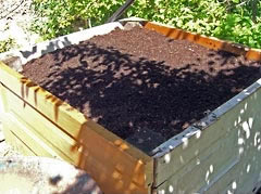 Bed filled with soil