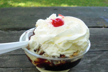 Ice cream sundae with whipped cream
