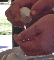 Hands holding a cracked egg