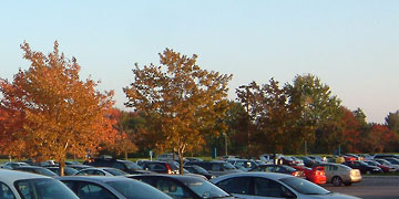 View of several trees turning red and orange in Tri-C parking lot