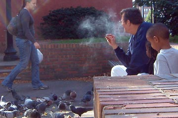 PIgeons and people in Market Sq. Park