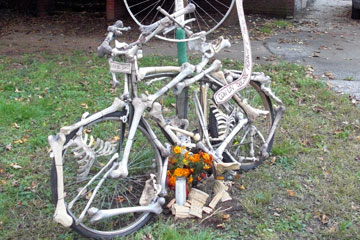 Bone bike