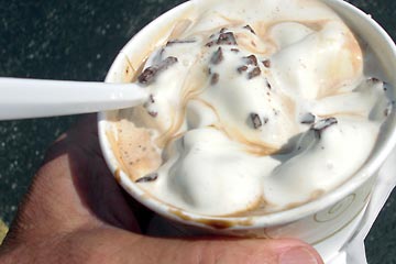 Dish of frozen custard with mocha syrup and chocolate chips