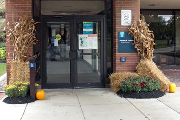 Flowers and cornstalks at entrance to building